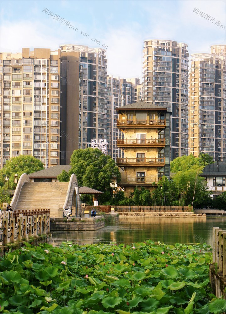 长沙拍照打卡 月湖公园 桥 长沙去哪玩