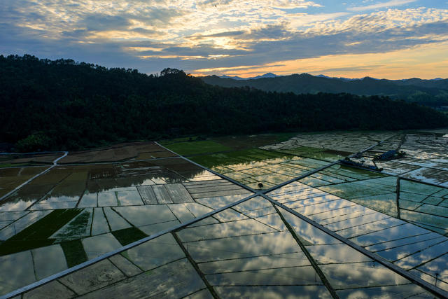 稻田 耕地 粮食 田园 乡村