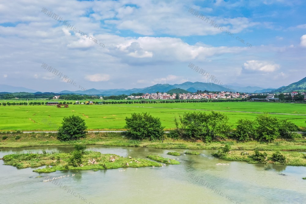 三农 乡村 田园 夏日 风景 自然 农田 稻田