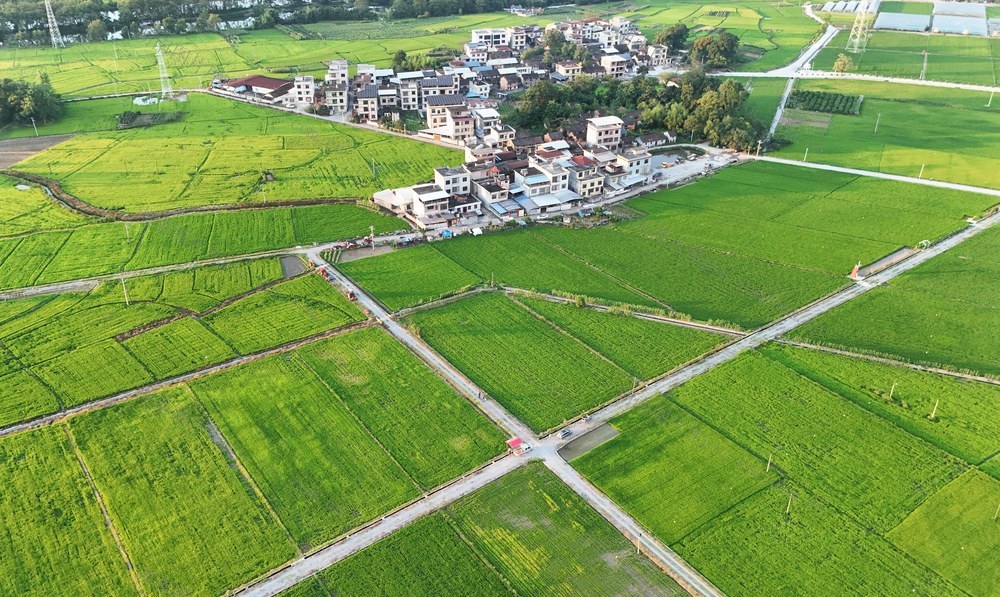  夏日乡村景如画