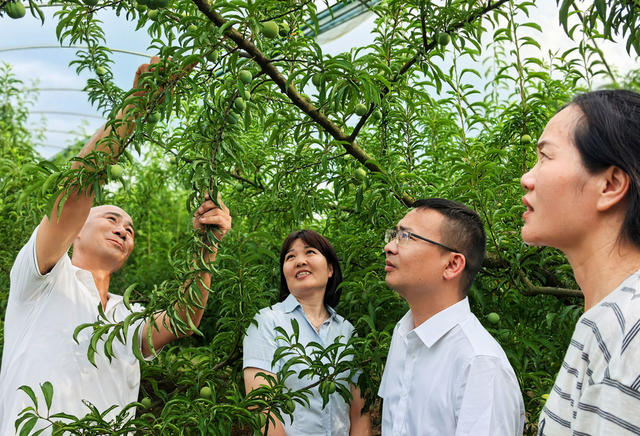 嘉禾：金融惠农助增收