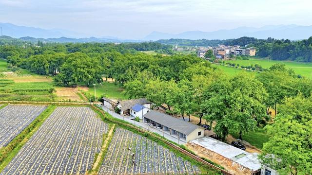 常宁 田园 村庄 绿树  河流 美景