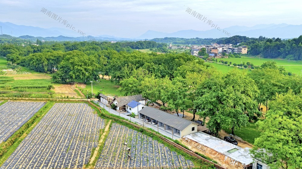 常宁 田园 村庄 绿树  河流 美景