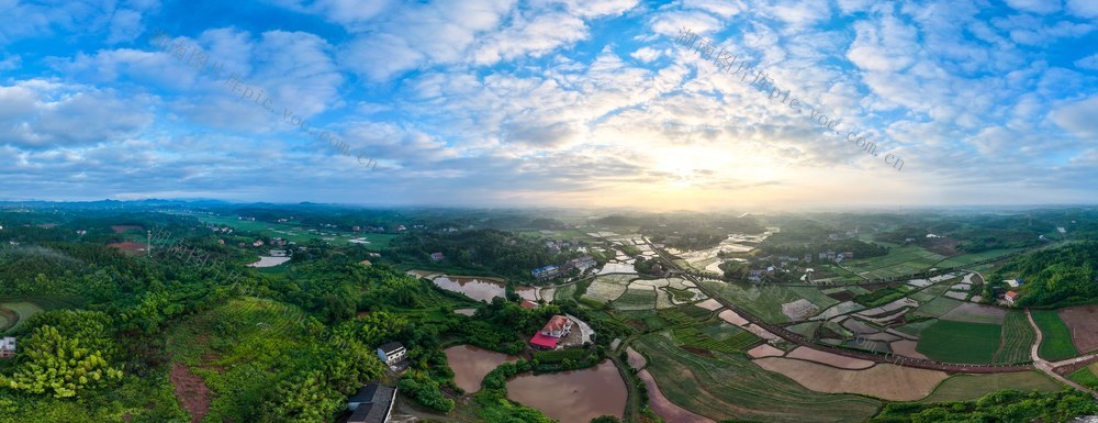 乡村 夏天 晨光 乡村景