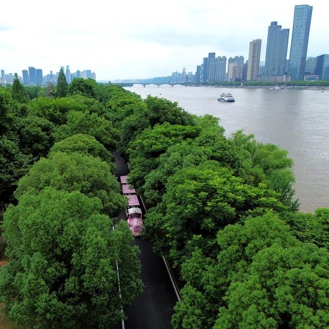 橘子洲
