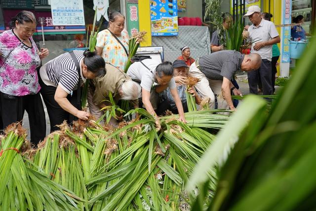 端午节、草药、习俗、民俗、市场
