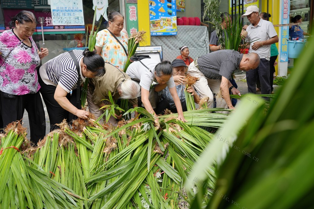 端午节、草药、习俗、民俗、市场