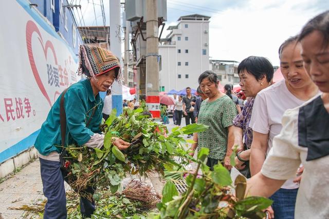 药草 端午 习俗 药材 健康 集市