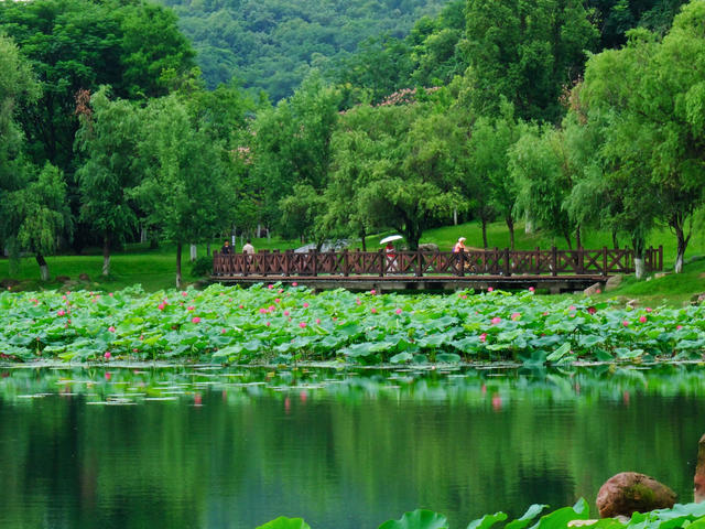 天马山，桃子湖