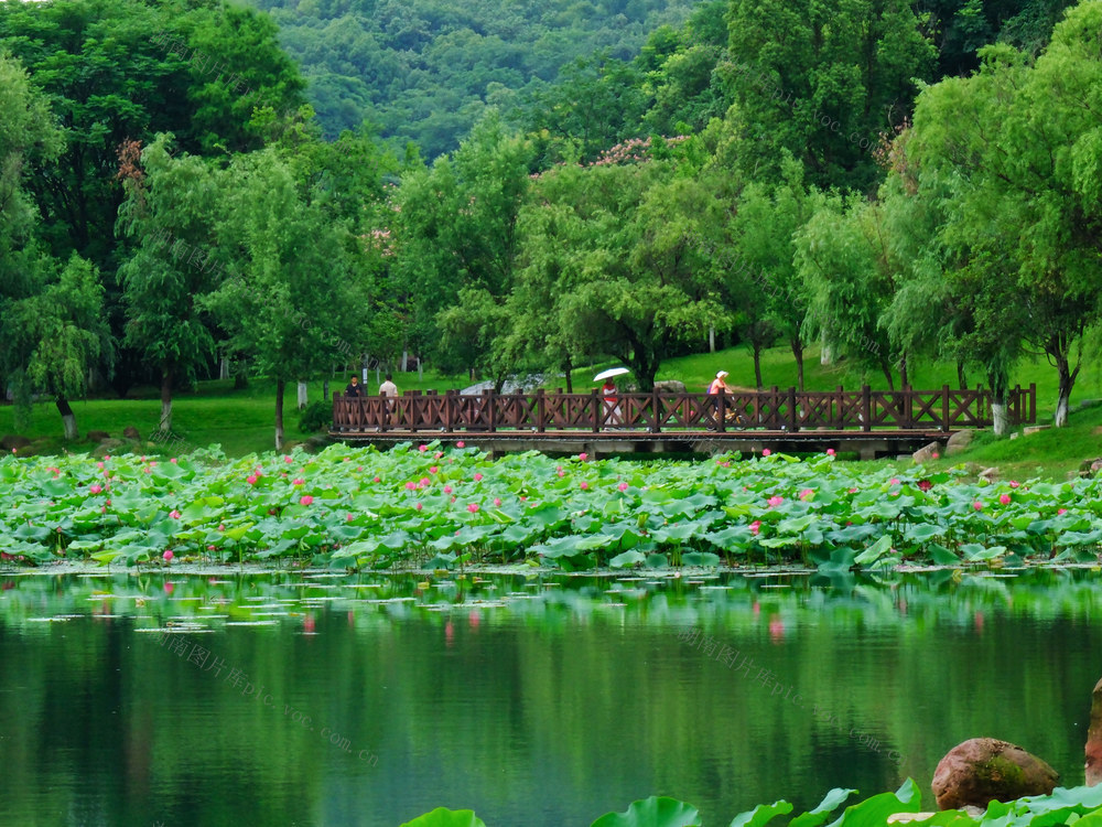 天马山，桃子湖