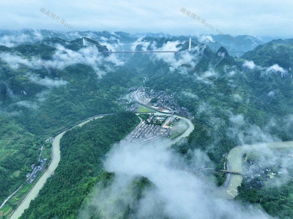 家园 移民 晨雾