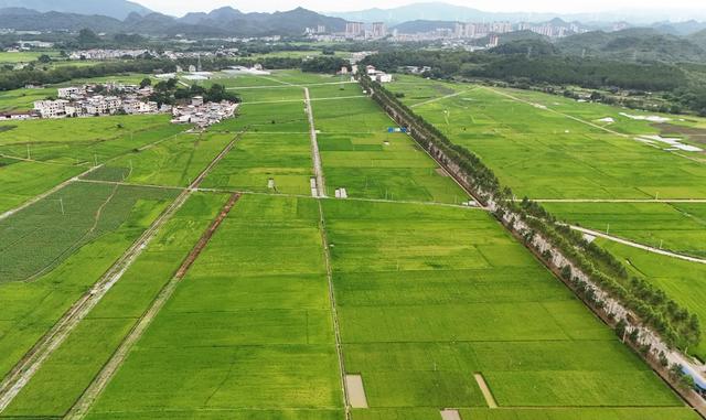  加强耕地保护 确保粮食安全