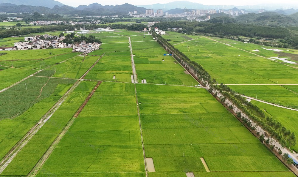  加强耕地保护 确保粮食安全