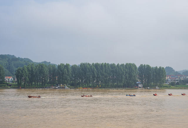民俗，燕尾龙舟，辰溪，群众活动，龙头庵