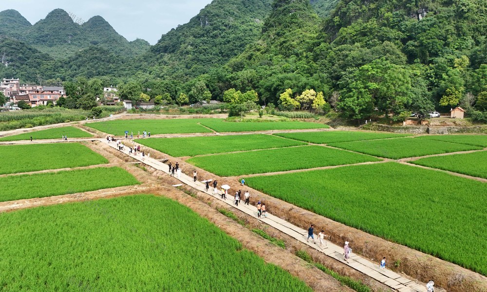 瑶寨夏日画卷