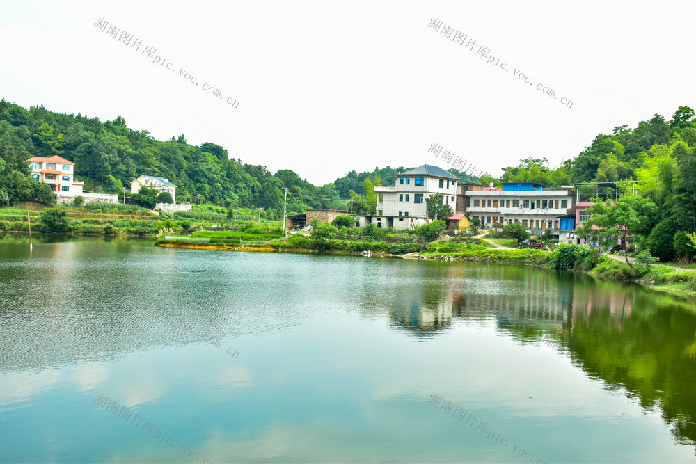 龙喜塘畔绘乡景