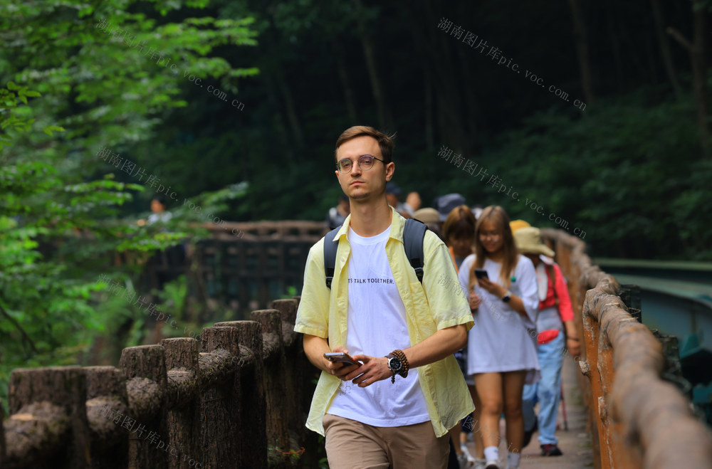 张家界 十里画廊 旅游 夏季