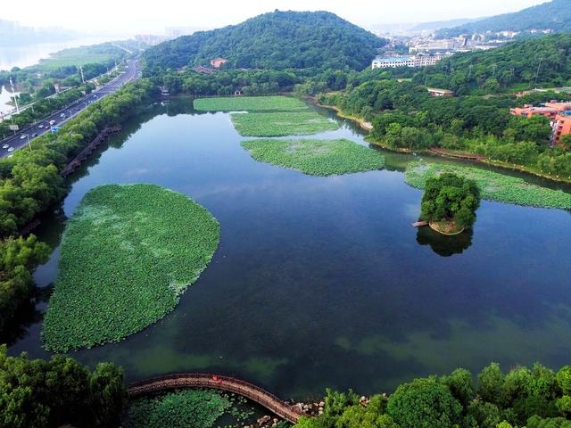 桃子湖