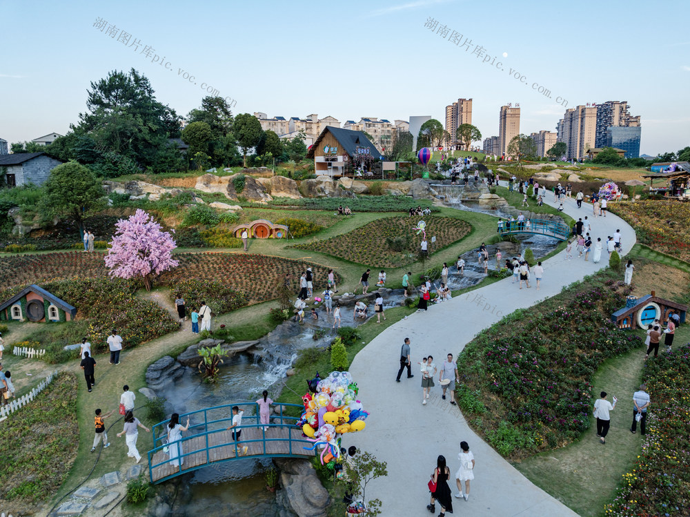口袋花园 仲夏