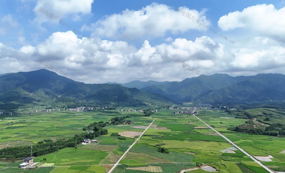  青翠田园 诗意乡村