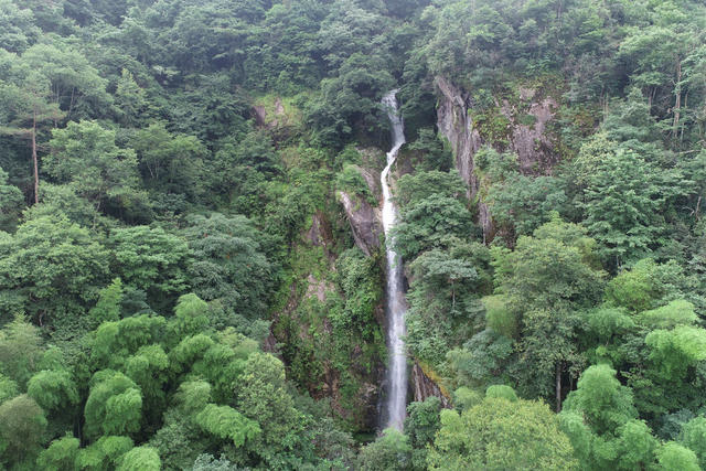 湖南桂东、八面山、国家级自然保护区、桃寮片区、瀑布、150 米高、林海、深谷、自然景观、2026 年 7 月 3 日