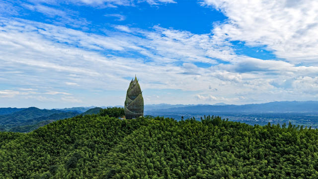桃花江竹海 竹海 竹乡 竹林 竹产业 文旅 旅游 景区 景点