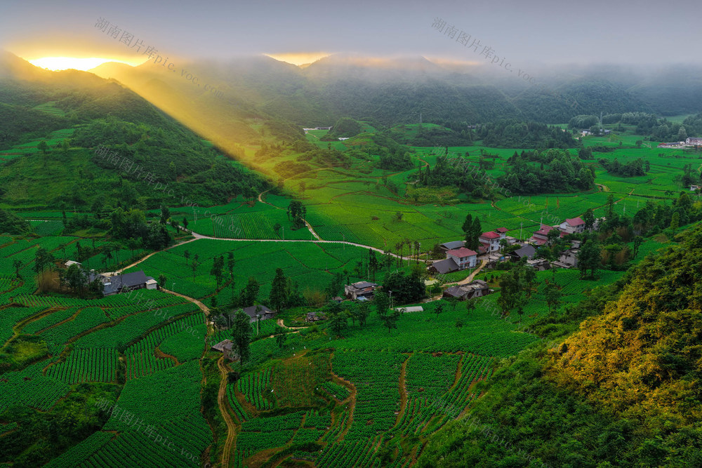 湖南，龙山，和美，乡村，建设，产业，设施