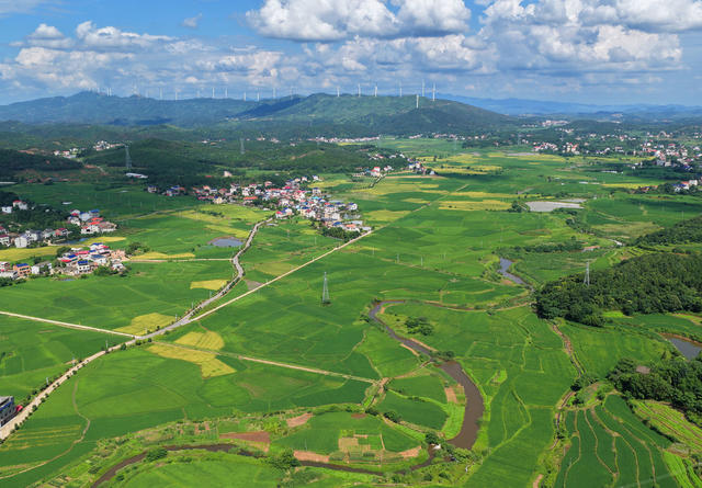 田园 风景