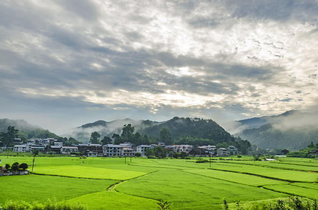 侗族 乡村 民居 青山 水稻 秀美 画卷