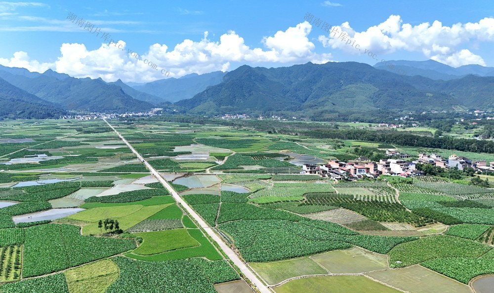    如画乡村