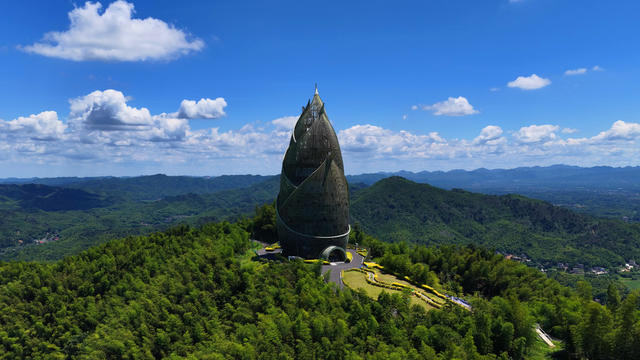 桃花江竹海 竹海 竹文化 竹产业 竹林 林业 森林 绿水青山 蓝天白云