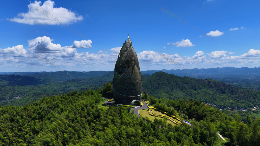 桃花江竹海 竹海 竹文化 竹产业 竹林 林业 森林 绿水青山 蓝天白云