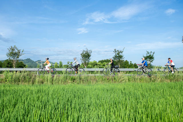 娄底 骑行 乡村 晨练 夏日