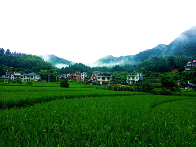 风光 画卷 山村