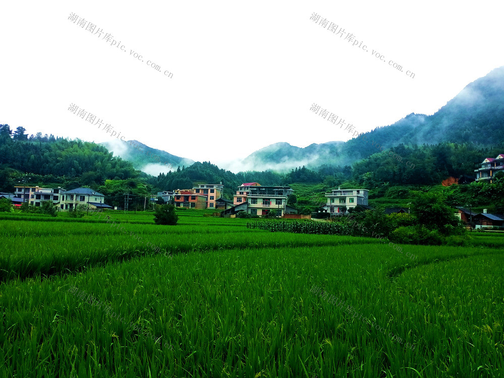 风光 画卷 山村