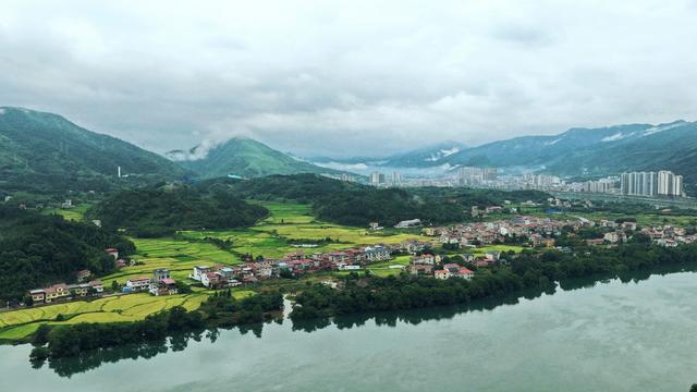 潇水环村 稻染青山