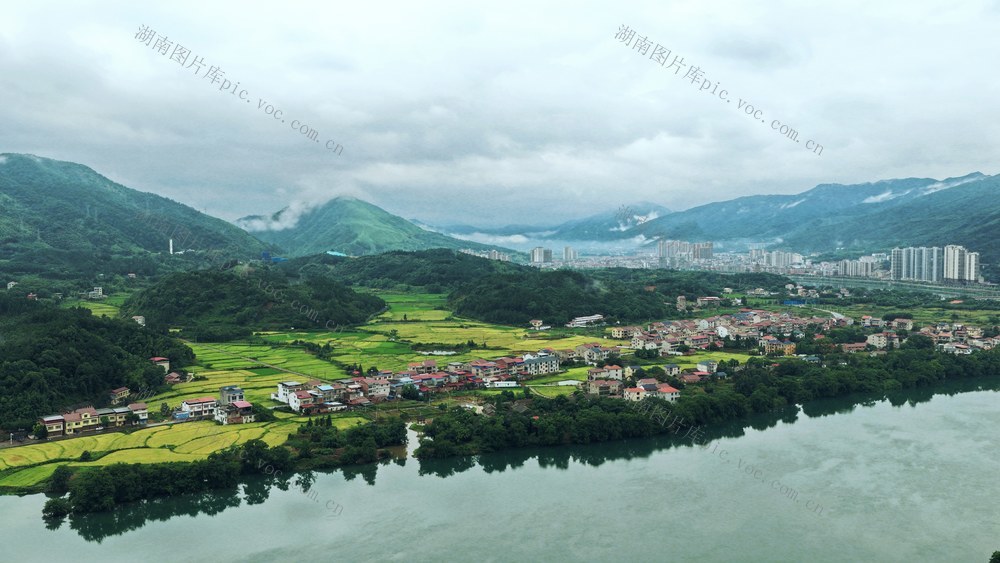 潇水环村 稻染青山