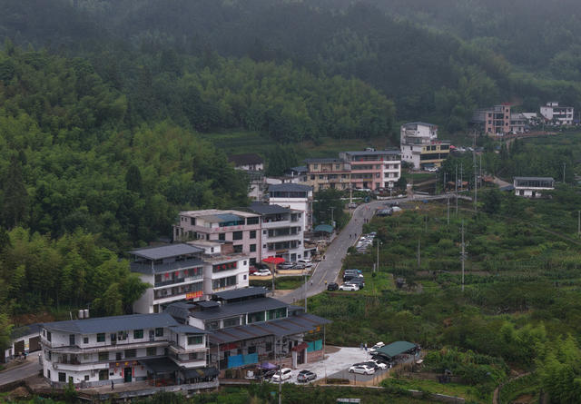 桂东、中国氧都、长寿之乡、沤江镇、青竹村
生态与气候：平均海拔 1230 米、夏季均温 23℃、森林覆盖率高、负氧离子充沛、生态优良、气候宜人、宜居宜养、康养避暑
产业与模式：凉资源、民宿热产业、生态 + 民宿 + 就业 + 增收、民宿 143 家、床位 4000 余个、避暑经济、群众增收、村集体经济
荣誉与定位：全国文明村、国家森林乡村、湖南省乡村旅游重点村、湖南省乡村旅游精品民宿聚集区、湖南省美丽乡村建设示范村、湘南避暑旅居目的地
客群与活动：粤港澳大湾区、长株潭城市群、候鸟式游客、联欢活动、文明共建、文旅融合、乡村振兴
