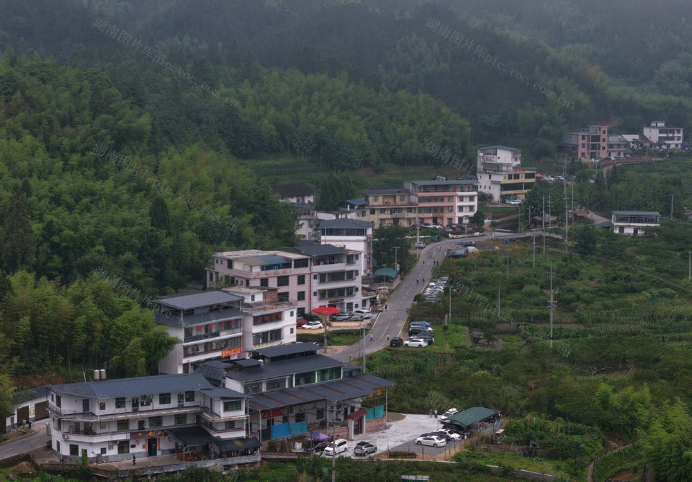 桂东、中国氧都、长寿之乡、沤江镇、青竹村
生态与气候：平均海拔 1230 米、夏季均温 23℃、森林覆盖率高、负氧离子充沛、生态优良、气候宜人、宜居宜养、康养避暑
产业与模式：凉资源、民宿热产业、生态 + 民宿 + 就业 + 增收、民宿 143 家、床位 4000 余个、避暑经济、群众增收、村集体经济
荣誉与定位：全国文明村、国家森林乡村、湖南省乡村旅游重点村、湖南省乡村旅游精品民宿聚集区、湖南省美丽乡村建设示范村、湘南避暑旅居目的地
客群与活动：粤港澳大湾区、长株潭城市群、候鸟式游客、联欢活动、文明共建、文旅融合、乡村振兴
