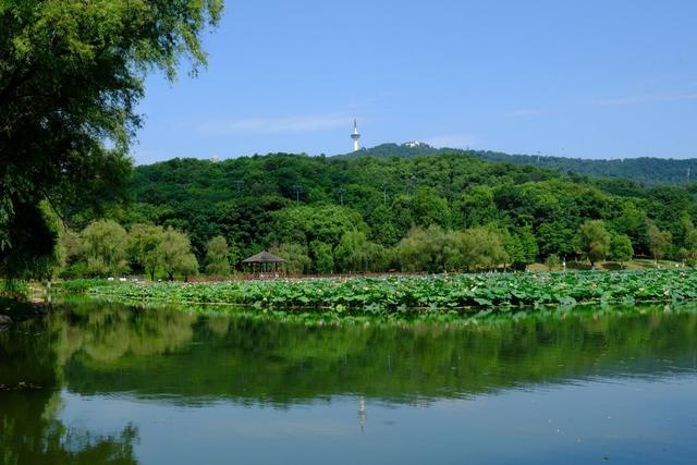 桃子湖