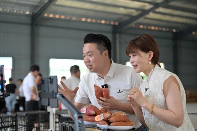 乡村振兴  直播  电商  蜜薯  产业