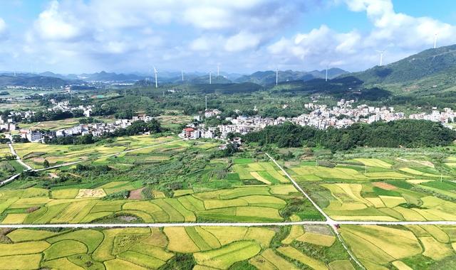  乡村好“丰”景