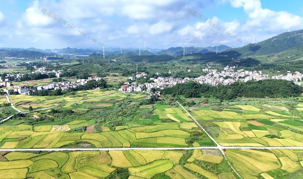  乡村好“丰”景