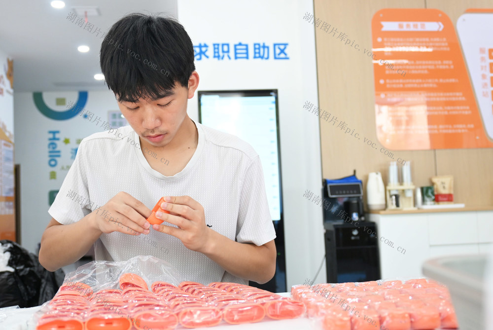 人力资源  就业服务  市场  车间拓展  弹性就业  