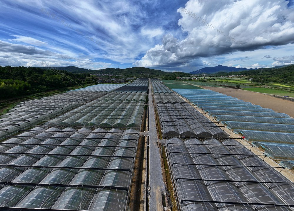 航拍  蓝天白云  湖南 
 郴州  苏仙区  坳上古村  规模化  蔬菜基地大棚   和美乡村 