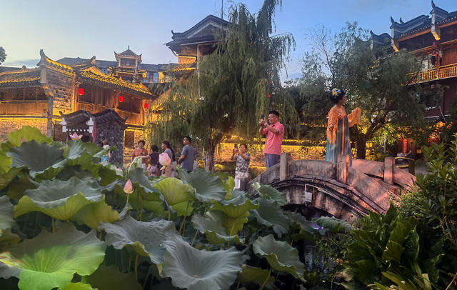 古城 荷塘 盛夏 荷花 绽放 游客