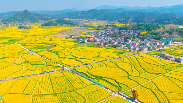 风景