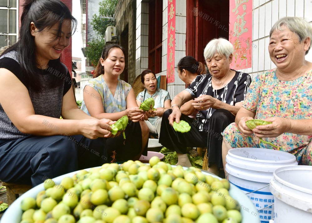 嘉禾：特色产业助增收