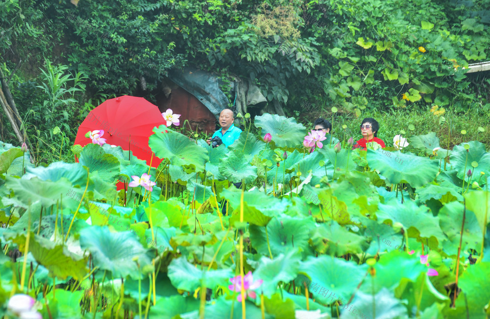 生态旅游