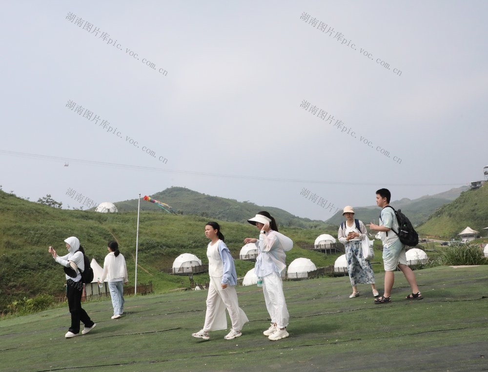      高山“避暑游”受青睐